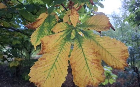 44 август Фото: Дарка С.