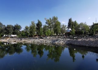 лето цветњак Фото: Вероника Вукићевић
