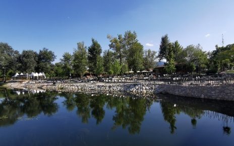 лето цветњак Фото: Вероника Вукићевић