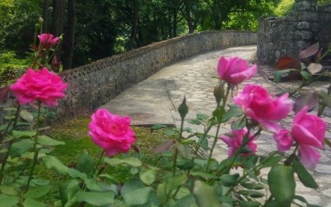 лето Фото: Мима Зиндовић