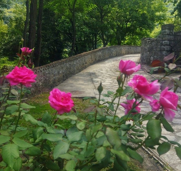 лето Фото: Мима Зиндовић