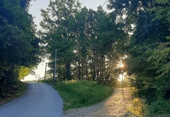 септембар ФОТО: ДАРКА СИМЕУНОВИЋ