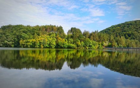 летоо Фото: Вероника Вукићевић