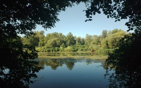 лето Фото: Зоран Зиндовић