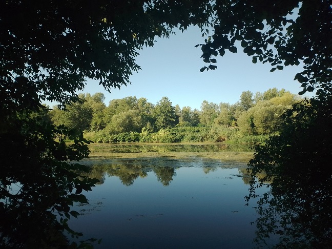 лето Фото: Зоран Зиндовић