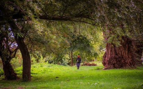 септембар Фото: Јелена Миладиновић