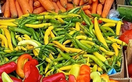 пијаца Фото: Мима Зиндовић