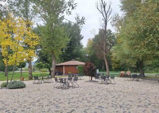 цветњак јесен Фото: В. Ј.