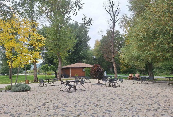 цветњак јесен Фото: В. Ј.