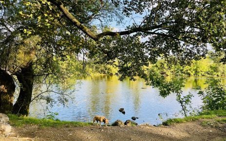 септембар Фото: Жана Ненадовић