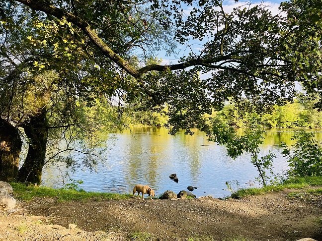 септембар Фото: Жана Ненадовић