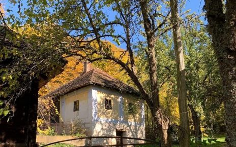 јесен Фото: Мима Зиндовић