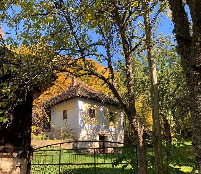 јесен Фото: Мима Зиндовић