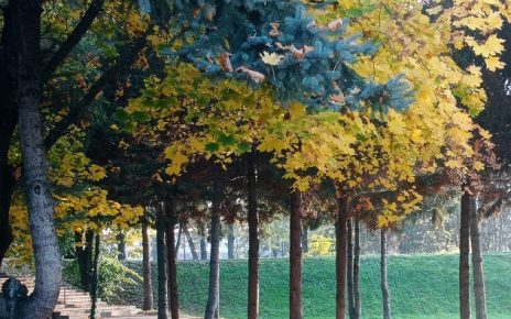 јесен Фото: Мима Зиндовић