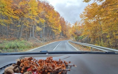 јесен Фото: Александра Тодосијевић