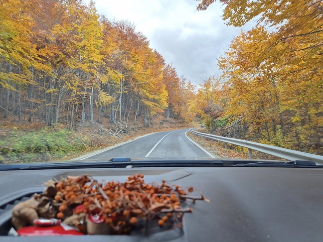 јесен Фото: Александра Тодосијевић