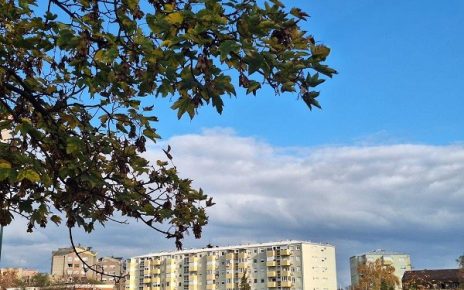 Фото: В. Јовичић