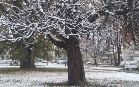 снег Фото: Виолета Јовичић