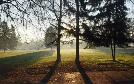 Зима, Фото: Зоран Зиндовић