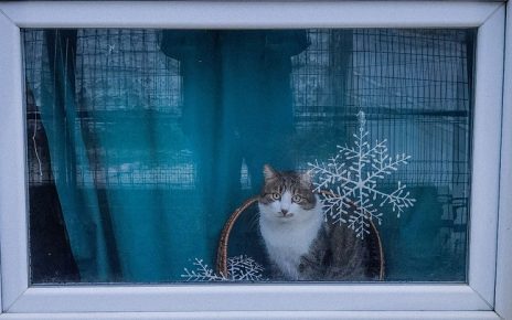 зима Фото: Јелена Миладиновић