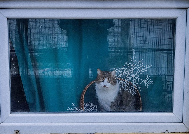 зима Фото: Јелена Миладиновић