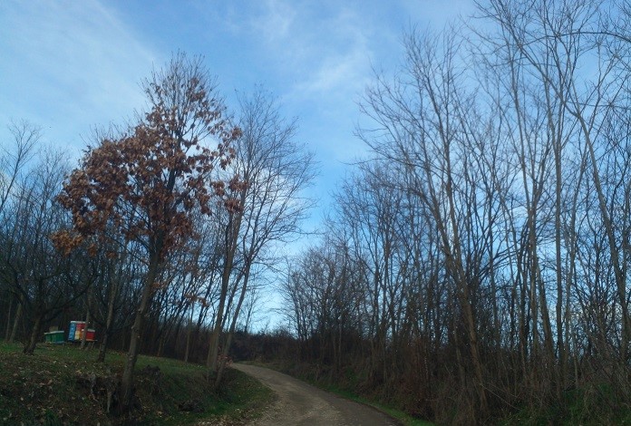 зима Фото: Г. Д.