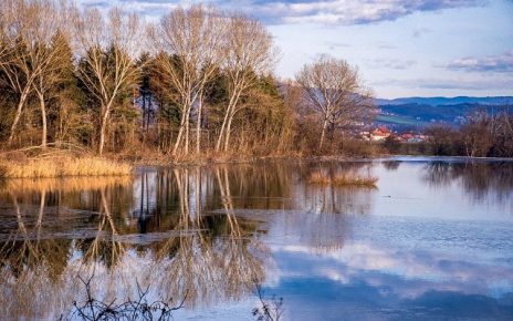 зима Фото: Јелена Миладиновић