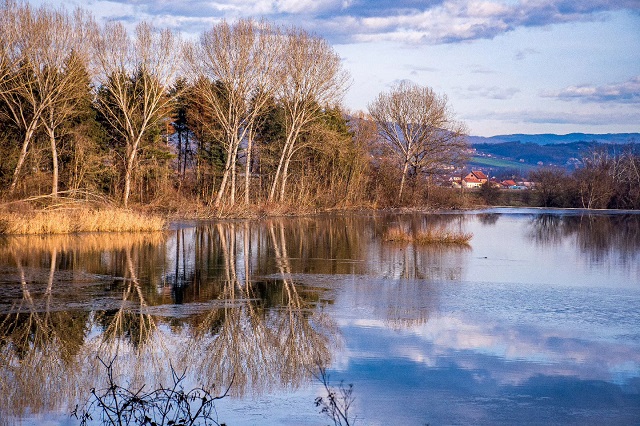 зима Фото: Јелена Миладиновић