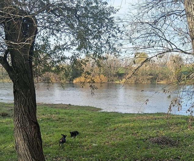 март Фото: Мима Зиндовић