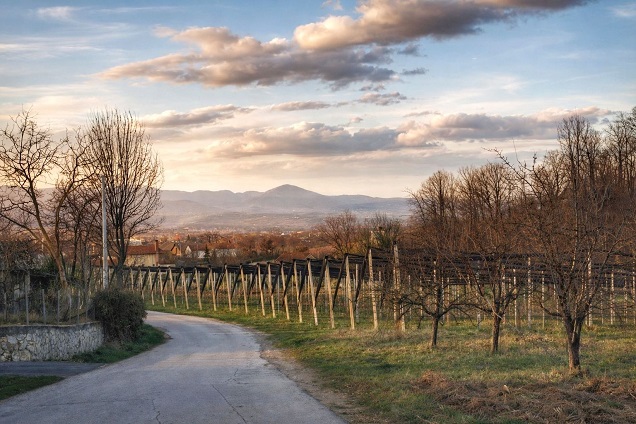 март Фото: Дарка Симеуновић