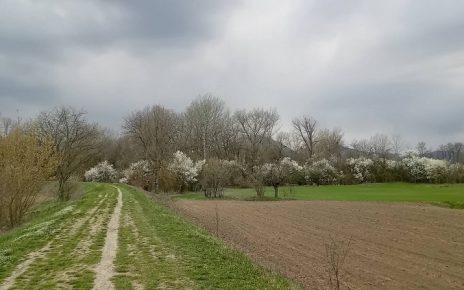 март Фото: Братислав Бежанић