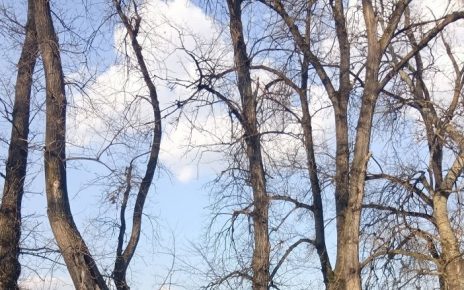 март Фото: Мима Зиндовић