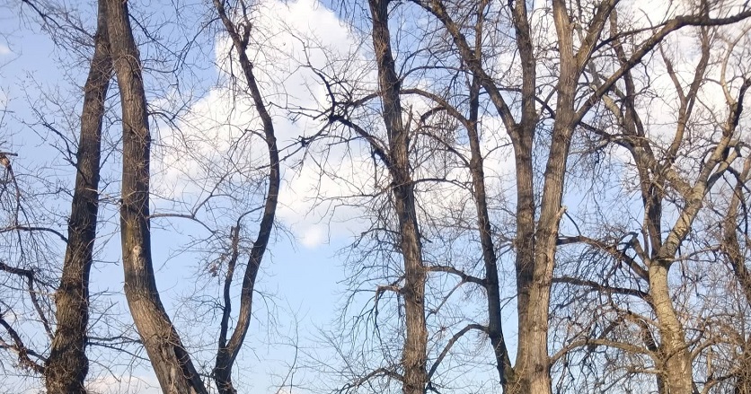 март Фото: Мима Зиндовић