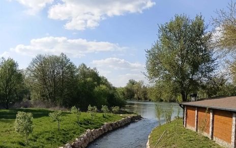 цветњак Фото: Мима Зиндовић