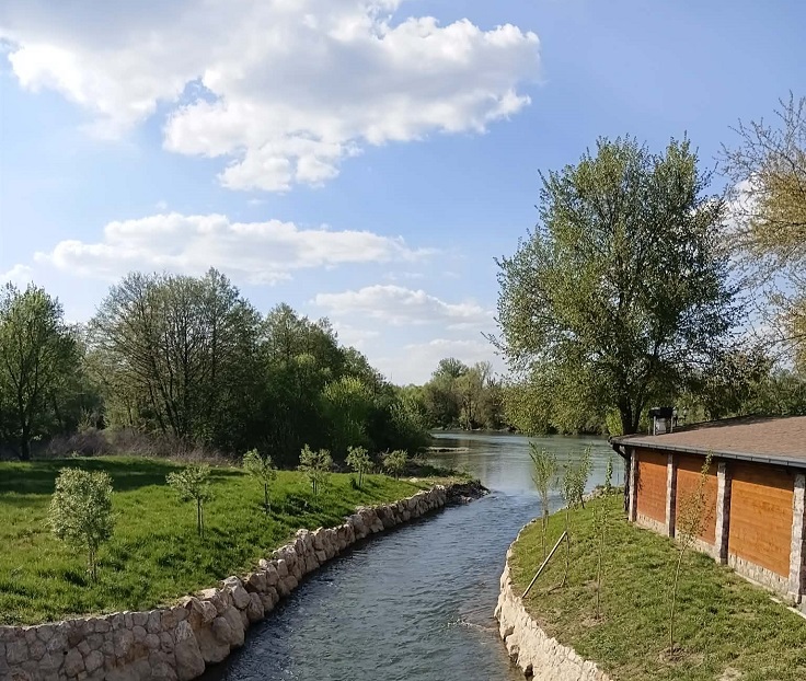 цветњак Фото: Мима Зиндовић