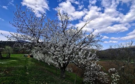 Фото: Јасна Баралић
