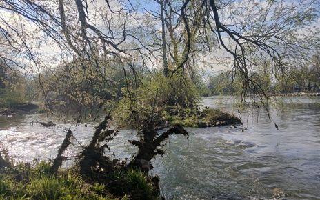 април Фото: Зоран Зиндовић