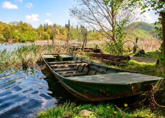 април Фото: Јелена Миладиновић