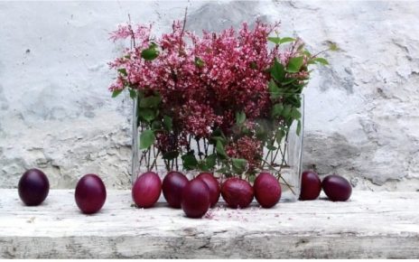 Фото: Милица Сретеновић