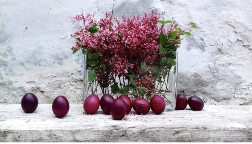 Фото: Милица Сретеновић