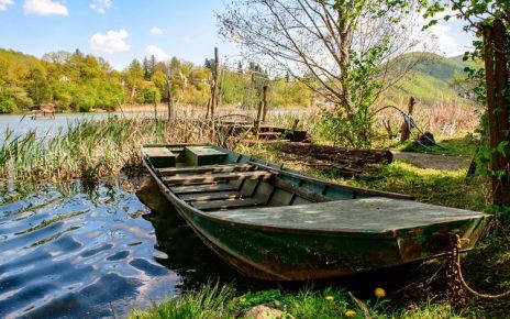 Фото: Јелена Миладиновић