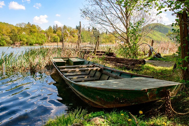 Фото: Јелена Миладиновић