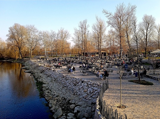 цветњак март Фото: Јовица Гудурић