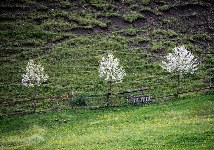 Фото: Јелена Миладиновић