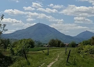 мај Фото: Мима Зиндовић