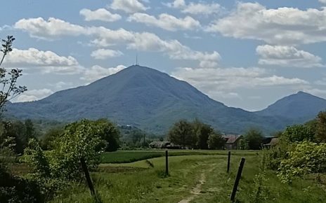 мај Фото: Мима Зиндовић