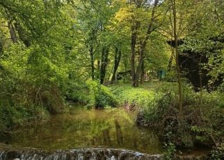 Фото: Мима Зиндовић