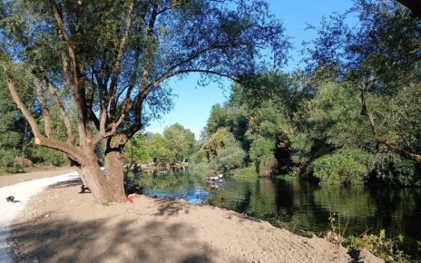 цветњак Фото: Зоран Зиндовић