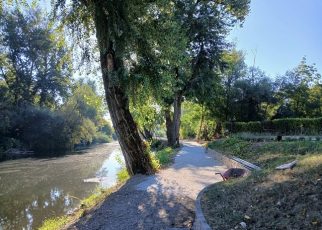 цветњак Фото: Зоран Зиндовић