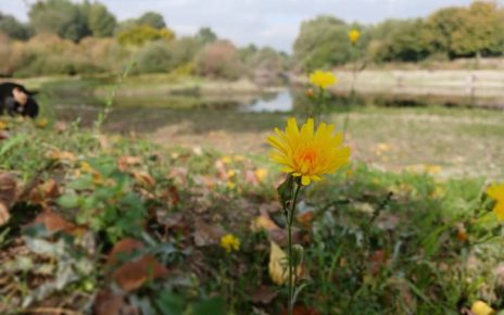 јесен Фото: Зоран Зиндовић